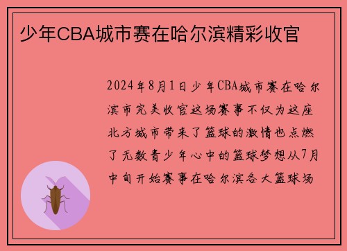 少年CBA城市赛在哈尔滨精彩收官