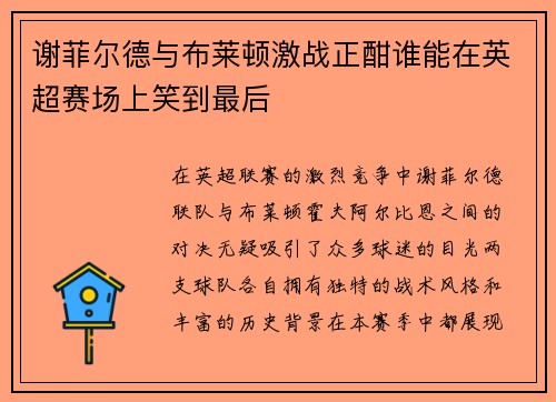 谢菲尔德与布莱顿激战正酣谁能在英超赛场上笑到最后