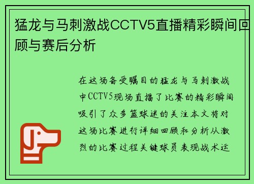 猛龙与马刺激战CCTV5直播精彩瞬间回顾与赛后分析