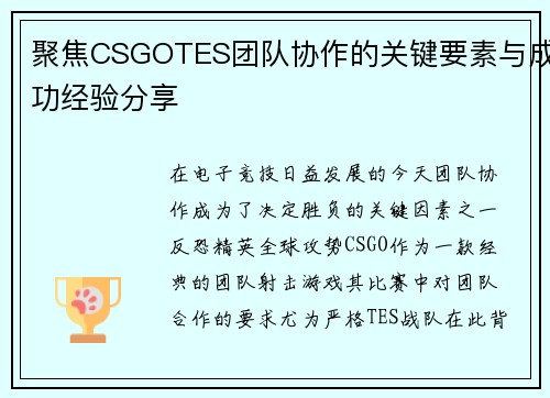 聚焦CSGOTES团队协作的关键要素与成功经验分享