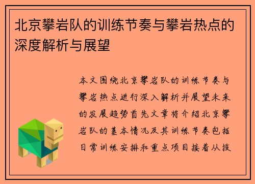 北京攀岩队的训练节奏与攀岩热点的深度解析与展望