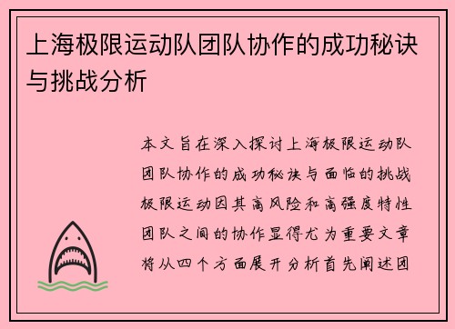 上海极限运动队团队协作的成功秘诀与挑战分析
